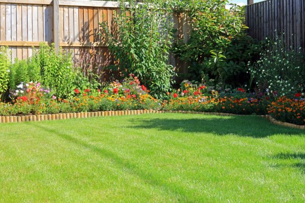garden maintenance