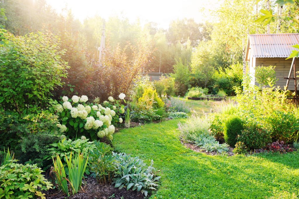 GI Garden Maintenancen