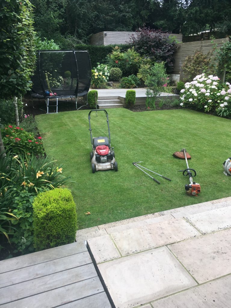 grass cutting
