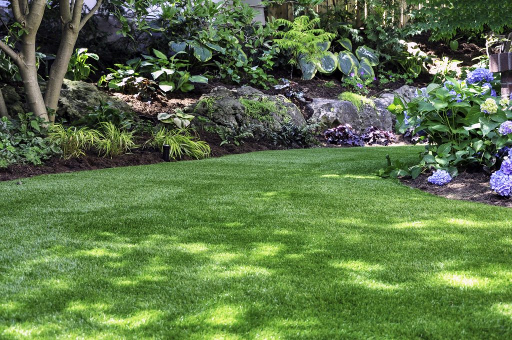 garden maintenance st albans