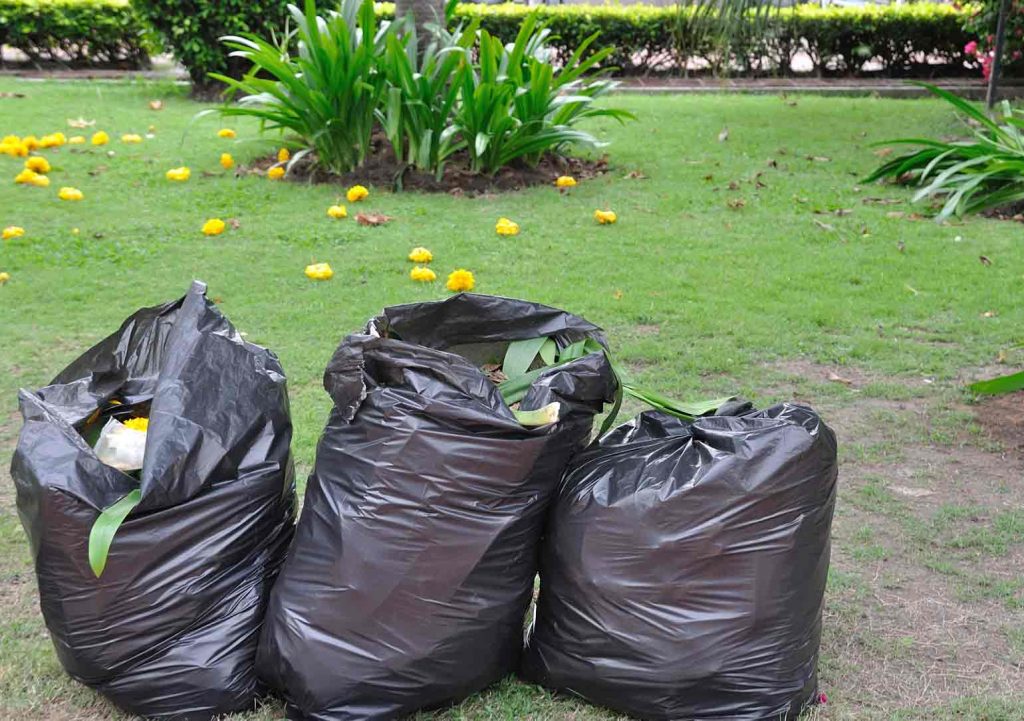 garden tidy ups