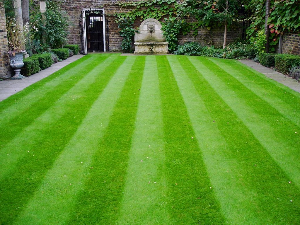 lawn care