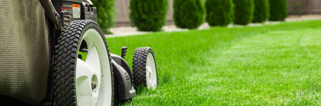 lawn mowing service