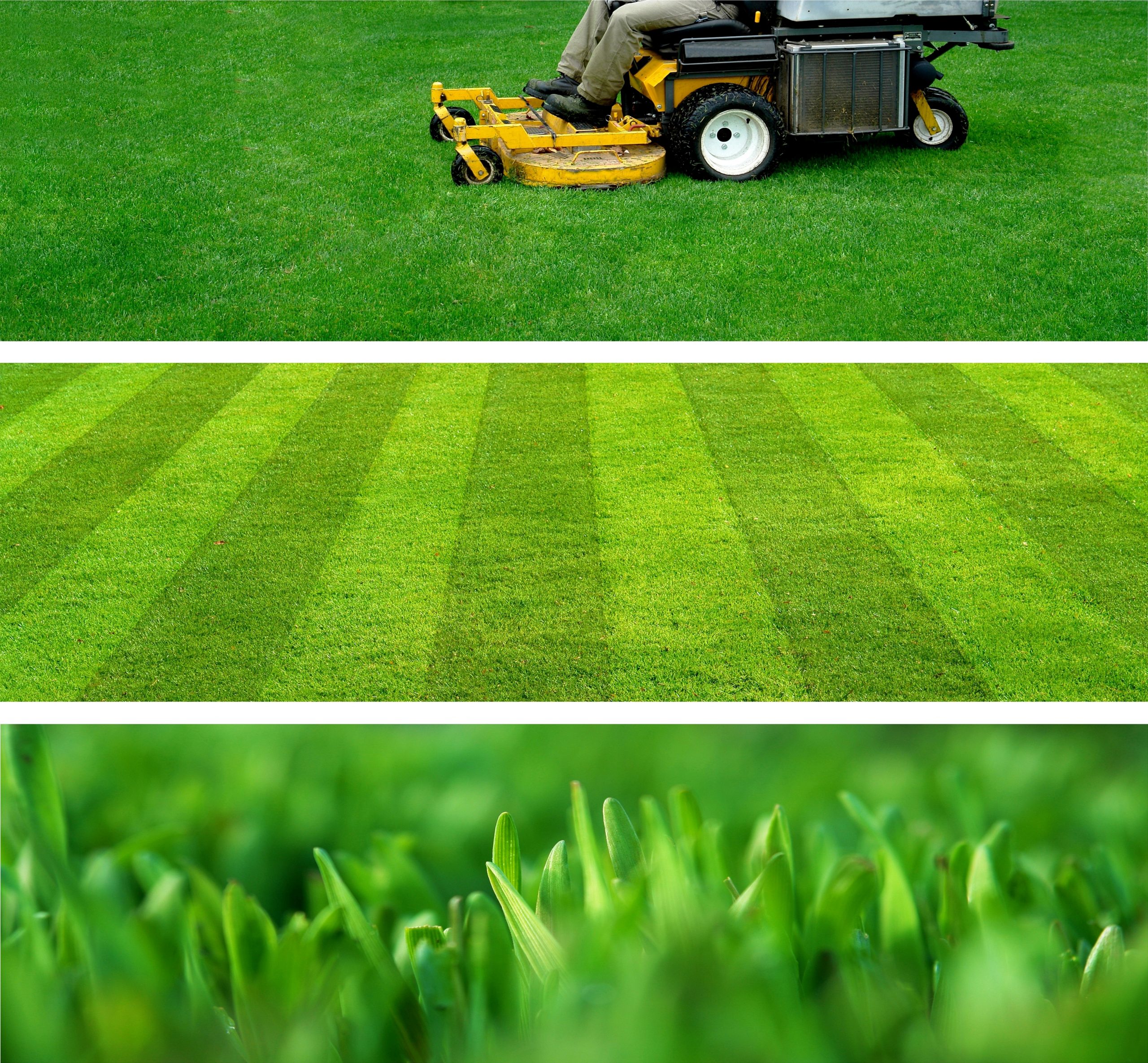 lawn mowing